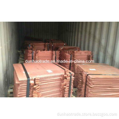 Copper Cathode - Good Quality with Competitive Price (DH-CC09)